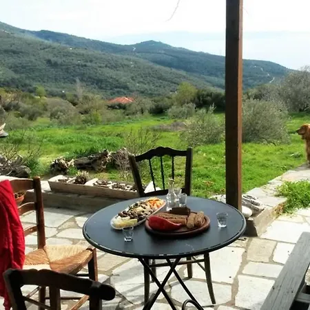 Artistic House: View - Pingpong - Billard