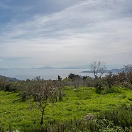 Artistic House: View - Pingpong - Billard * Katochori