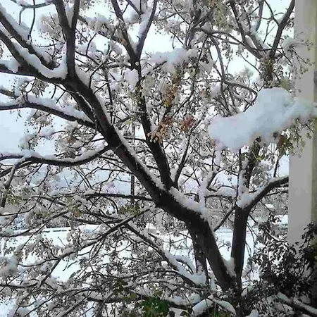 Artistic House: View - Pingpong - Billard