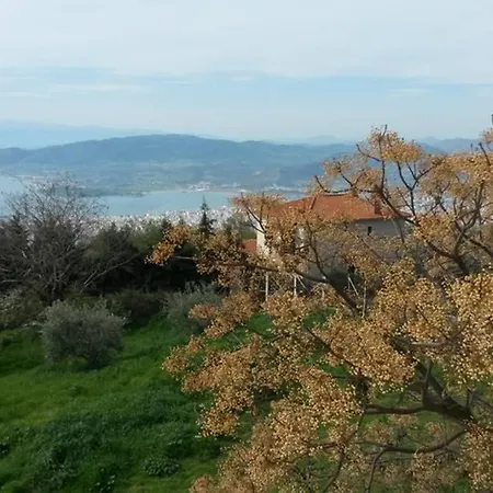 Artistic House: View - Pingpong - Billard