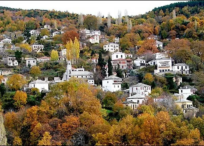 Artistic House: View - Pingpong - Billard