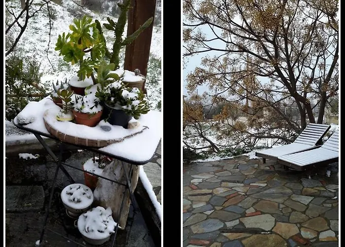 Artistic House: View - Pingpong - Billard