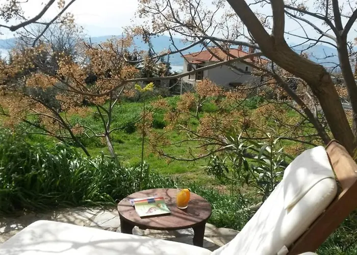 Artistic House: View - Pingpong - Billard * Katochori