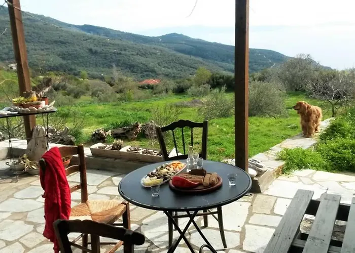 Artistic House: View - Pingpong - Billard